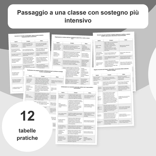 Classe con sostegno intensivo: organizzazione e adattamenti | 12 tabelle PDF + PowerPoint