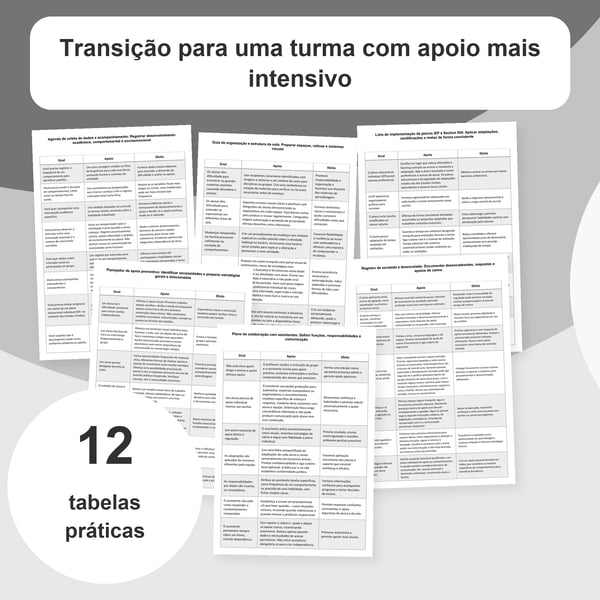 Turma com apoio intensivo: organização e adaptações | 12 tabelas PDF + PowerPoint
