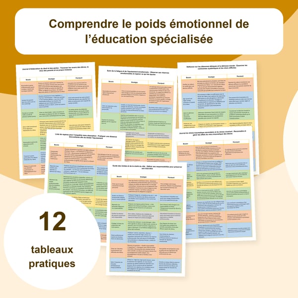 Charge émotionnelle en éducation spécialisée | 12 tableaux PDF + PowerPoint modifiable