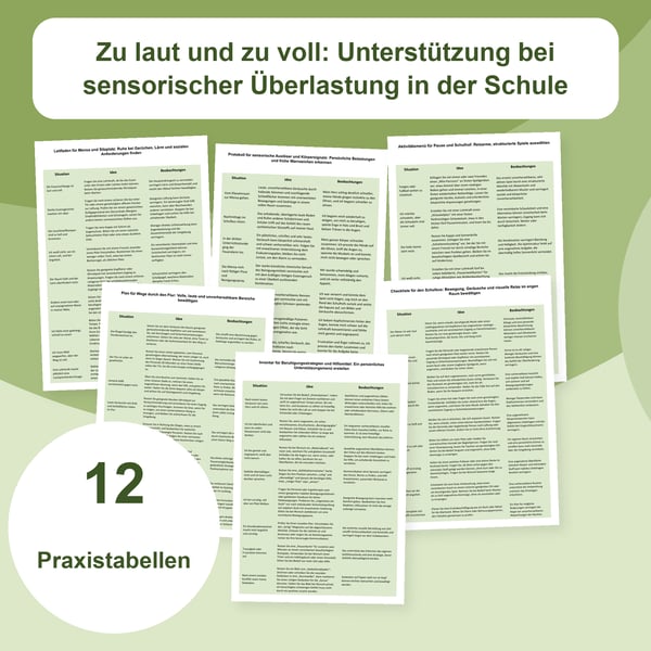Sensorische Überlastung in der Schule: 12 Tabellen | PDF + bearbeitbare PowerPoint