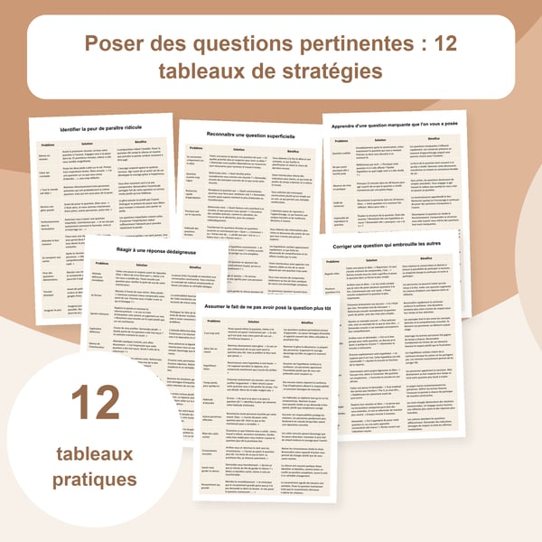 Questions réfléchies : 12 tableaux de stratégies | PDF + PowerPoint