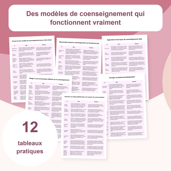 Coenseignement : 12 tableaux et 120 stratégies | PDF + PowerPoint