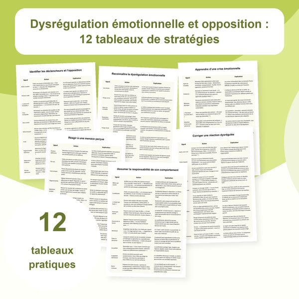 Régulation émotionnelle et réactions d’opposition : 12 tableaux | PDF + PowerPoint