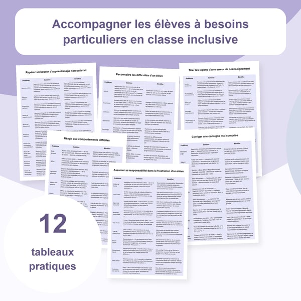 Soutenir les élèves en classe inclusive : 12 tableaux de stratégies | PDF + PowerPoint