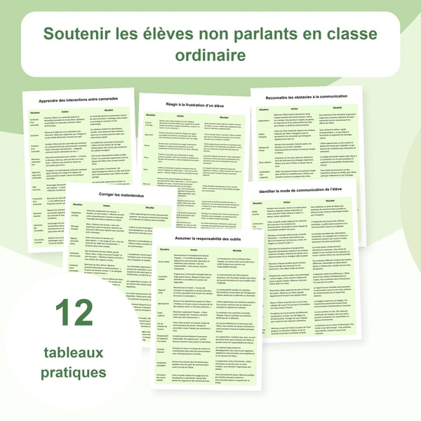 Élèves non oralisants en classe ordinaire : 12 tableaux de stratégies | PDF + PowerPoint