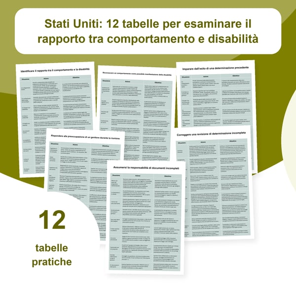 Rapporto tra comportamento e disabilità negli USA: 12 tabelle | PDF + PowerPoint