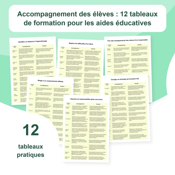 Accompagnement des élèves : 12 tableaux de formation pour les aides éducatives | PDF + PowerPoint modifiable