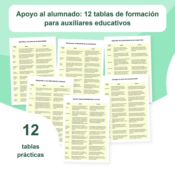 Apoyo al alumnado: 12 tablas de formación para auxiliares escolares | PDF + PowerPoint editable