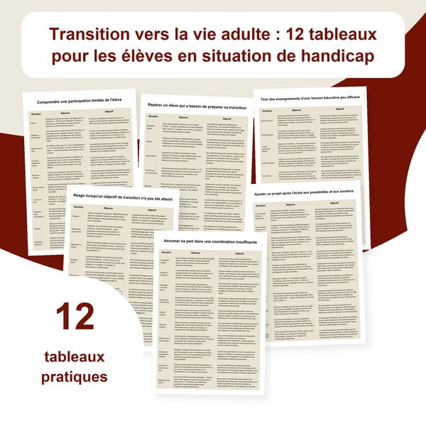 Transition et handicap : 12 tableaux, 118 situations | PDF + PowerPoint modifiable