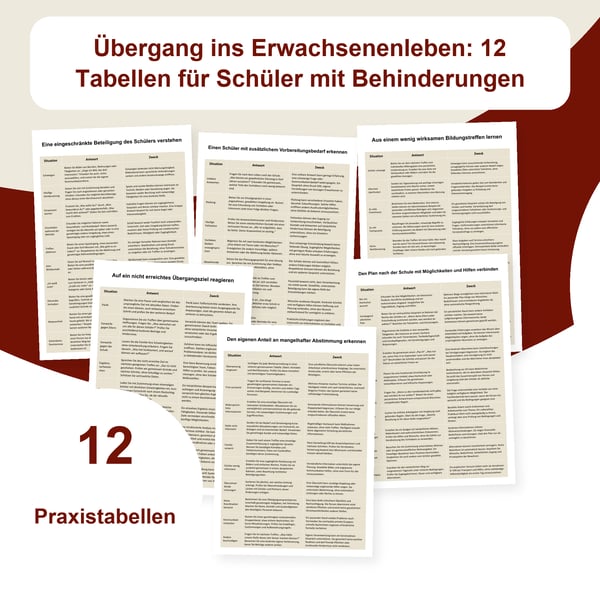 Übergang und Behinderung: 12 Tabellen, 118 Situationen | PDF + bearbeitbare PowerPoint