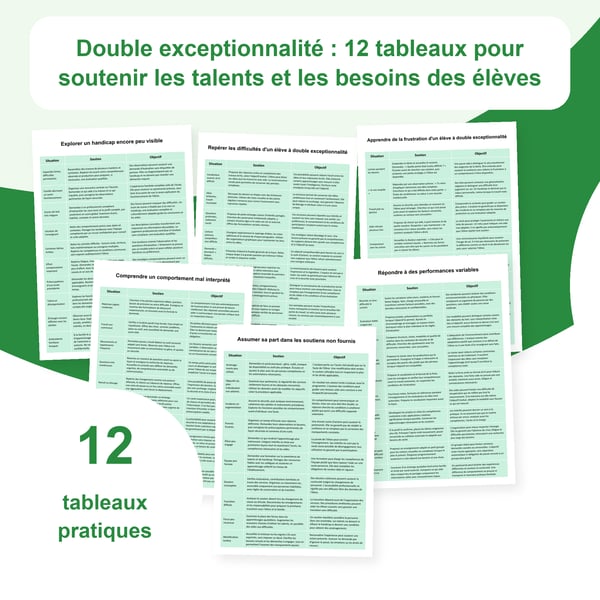 Double exceptionnalité : 12 tableaux, talents et handicap | PDF + PowerPoint modifiable