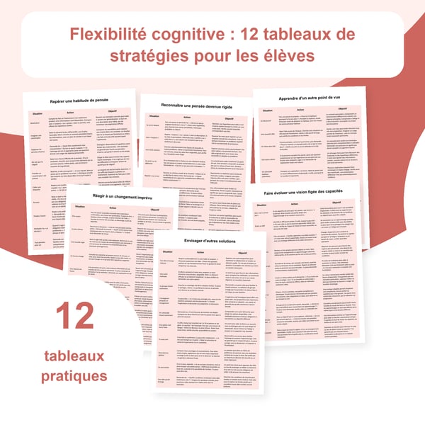 Flexibilité cognitive : 12 tableaux et 120 situations | PDF + PowerPoint modifiable