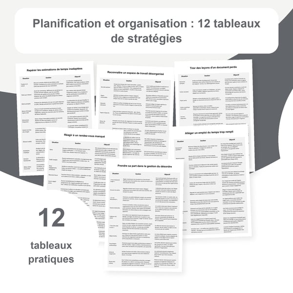 Planification et organisation : 12 tableaux et 120 situations | PDF + PowerPoint modifiable
