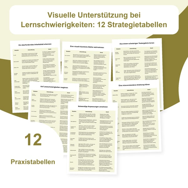 Visuell-räumliche Stärken und Lernhilfen: 12 Tabellen, 120 Situationen | PDF + PowerPoint bearbeitbar