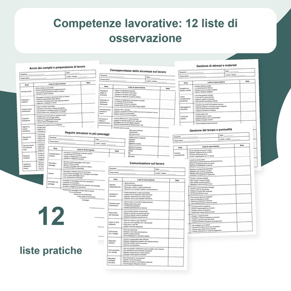 Abilità per il lavoro: 12 liste, 108 aree e 432 criteri | PDF e PowerPoint modificabile