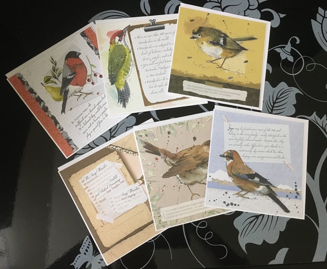Six 5-inch Square Bird Notelets - Payhip