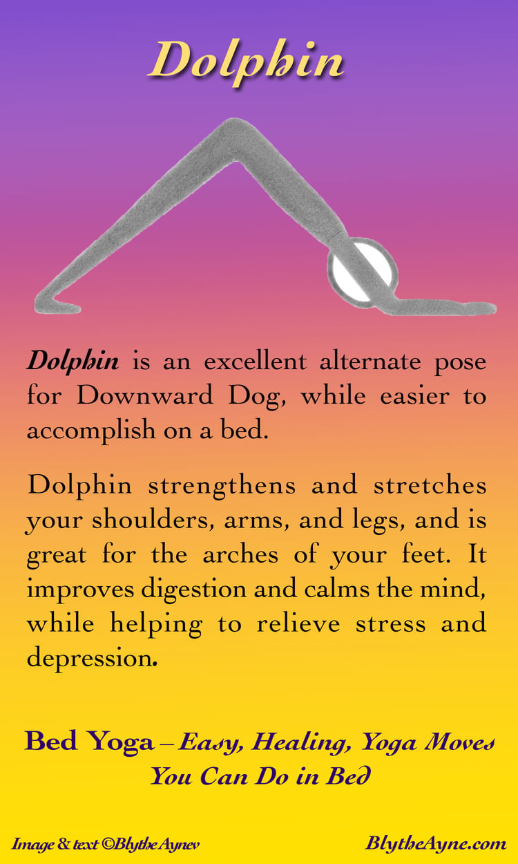 Colorful Illustration of dolphin
