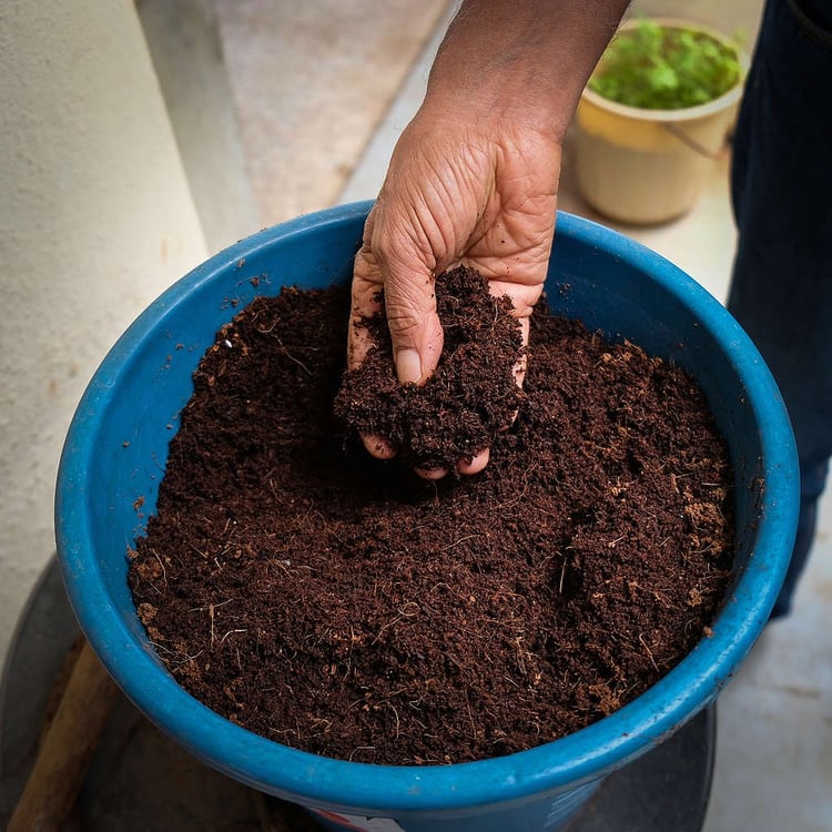 Abono orgánico de compost