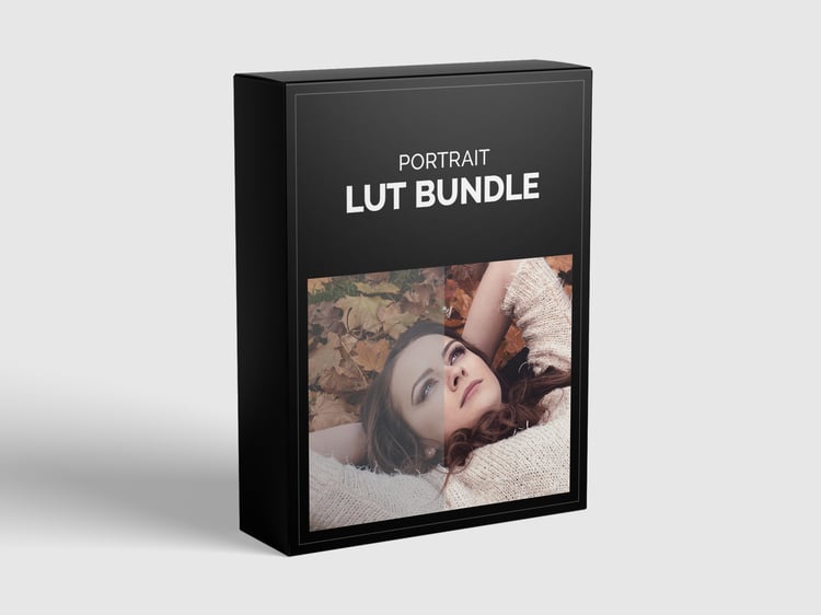 Mockup of a minimalist black box with white text: LUT Bundle (Portrait) and picture preview of one LUT