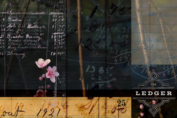 Digital ledger papers and overlay graphics.