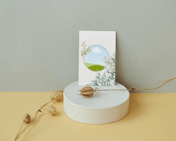 Fresh Elegance Invitation | Customizable Canva Template | Digital Download. Mock outside front