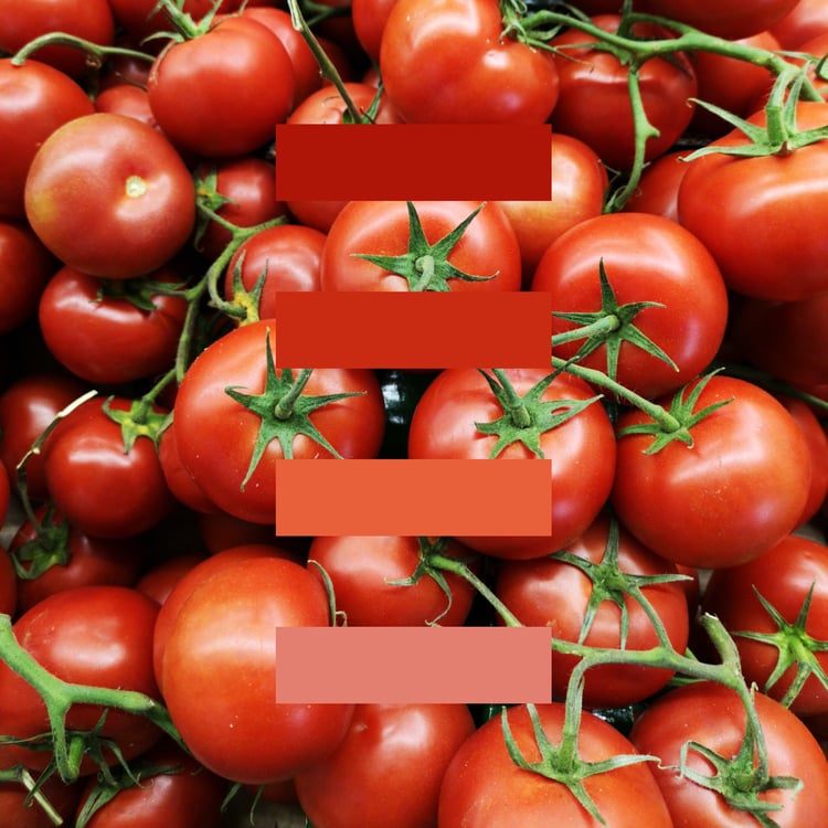 post about the sensations that colors transmit, the red