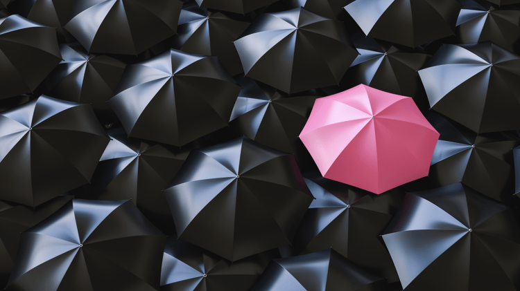 A pink umbrella amidst a sea of black umbrellas.