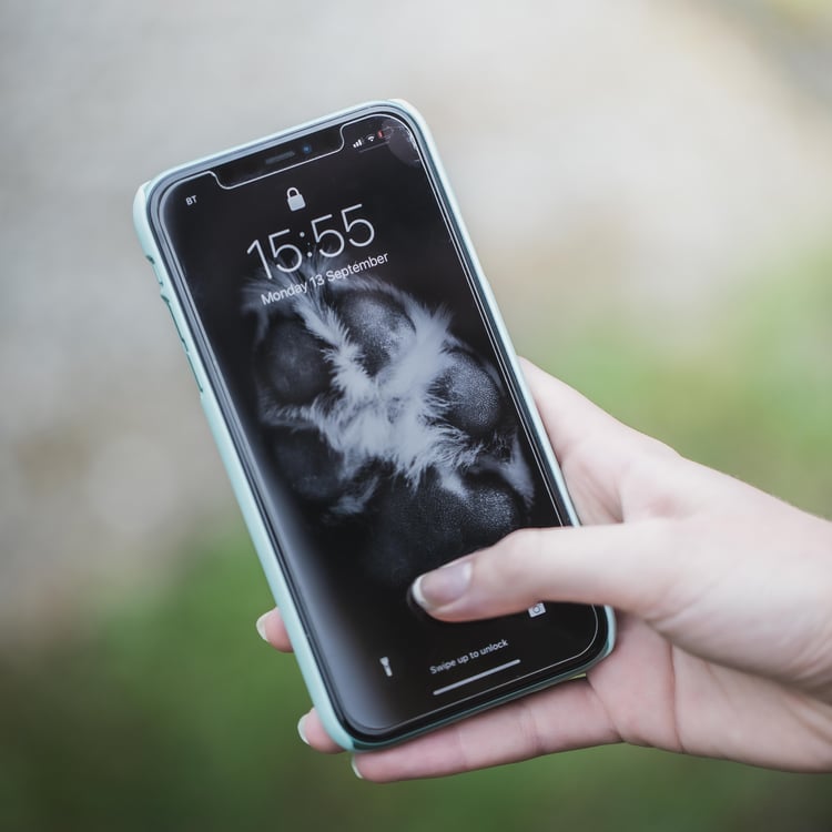 pawtography wesleysphoto pet gift paw print photo