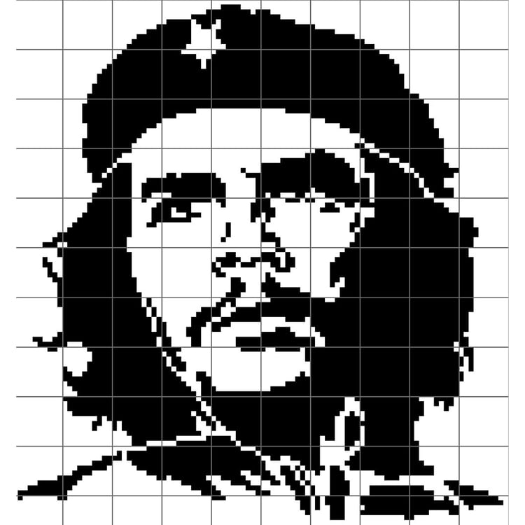 Grid of Che Guevarra