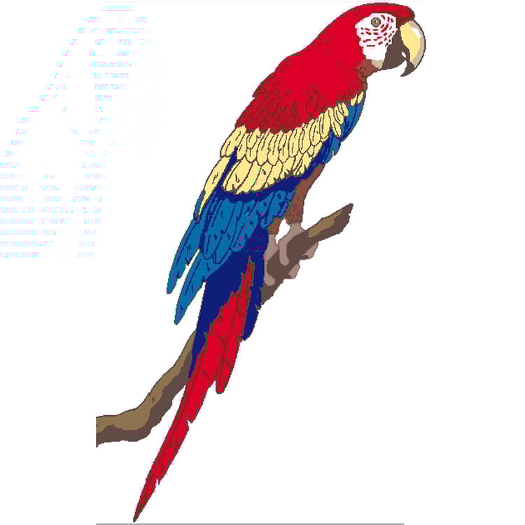 Grid of Macaw parrot