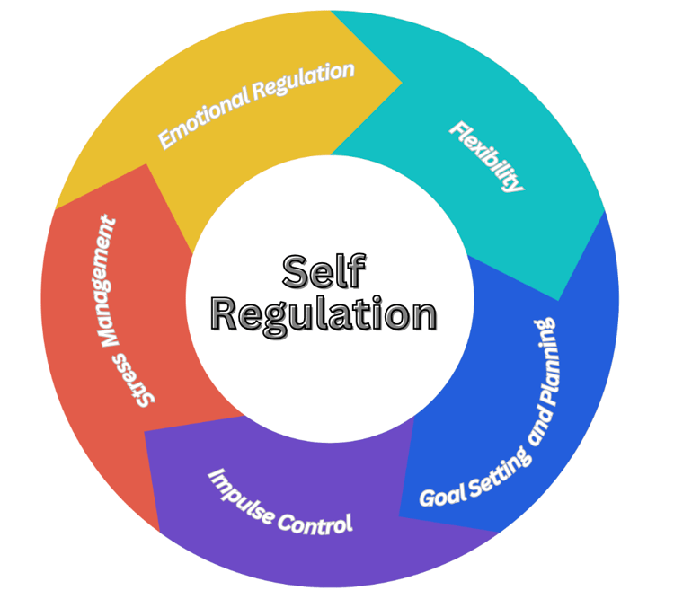 Self regulation middle school high school executive function