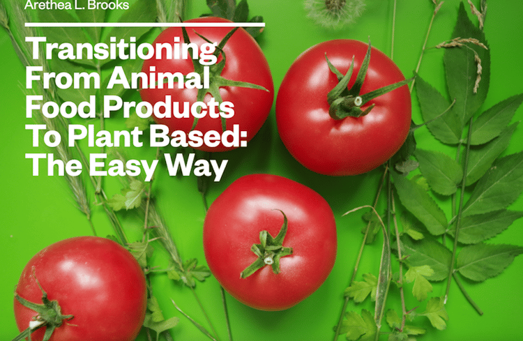 plant based e-book, transitioning diet, vegan