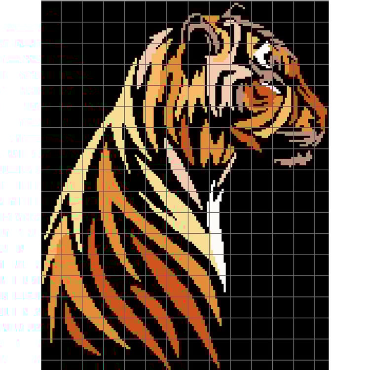 Grid of Tiger