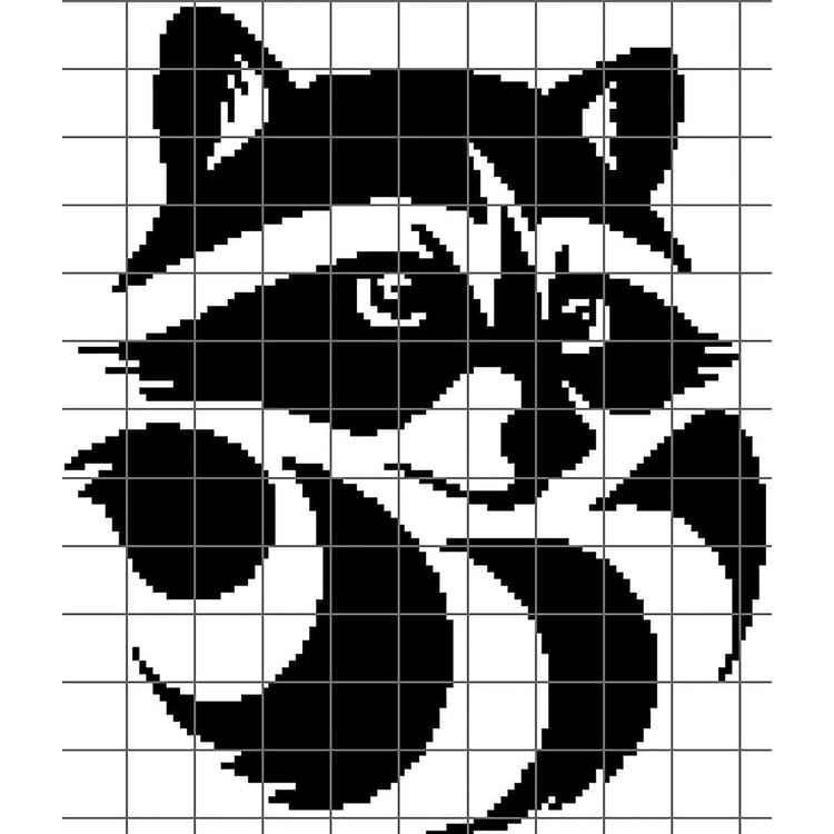 Grid of Raccoon