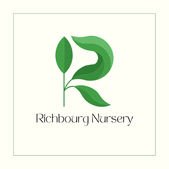 Elegant Minimalist Leaf R shape Logo Square Business Card