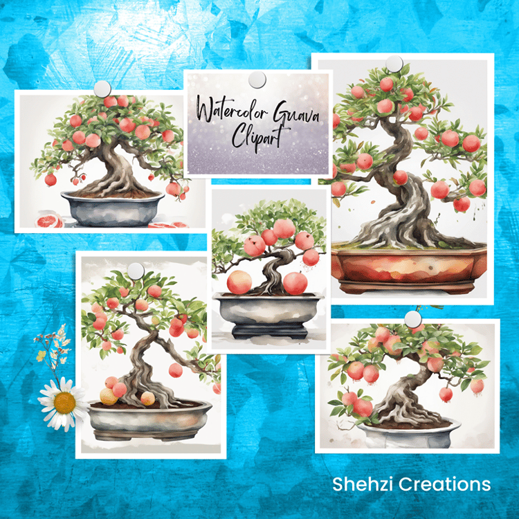 Guava Fruit Bonsai Plant Clipart | Instant Download