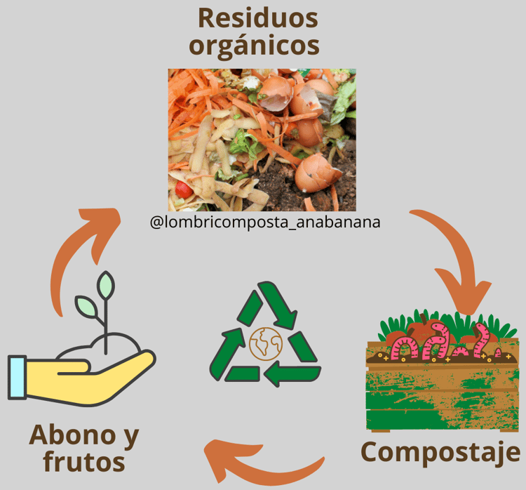Ciclo de compostaje en casa