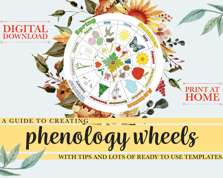 Phenology Wheel & Nature Study Resources at "Dartmoor Kin" by "Sasha Jackson"