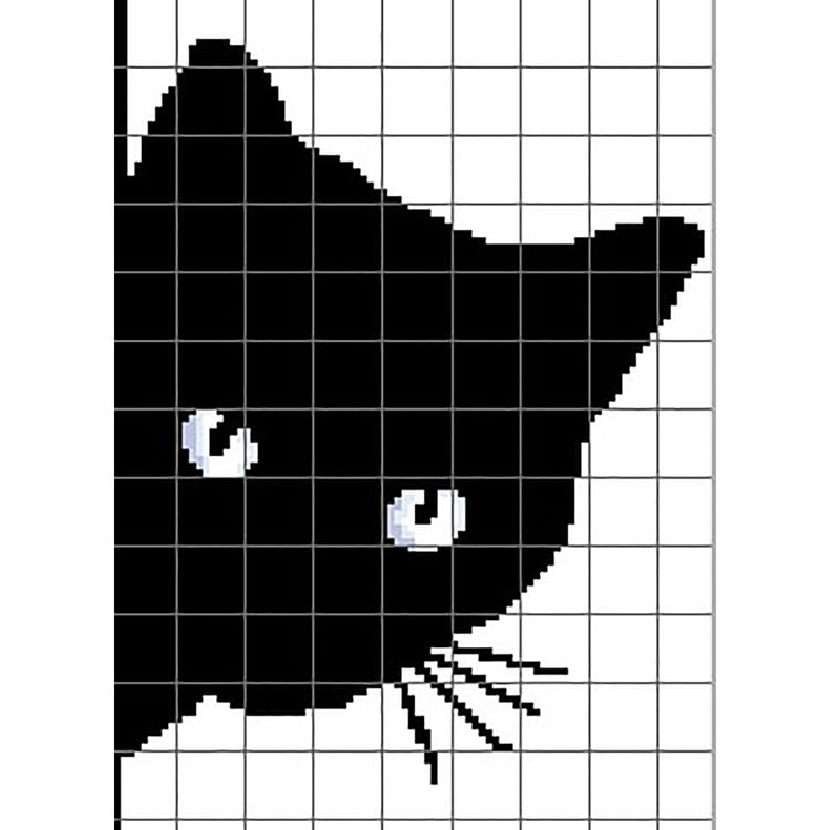 Grid of Cat