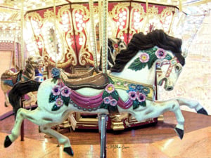 Beautiful Carousel Horse #1
