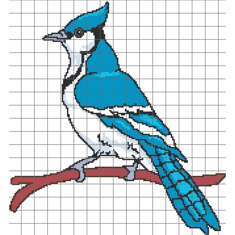 Grid of Blue Jay