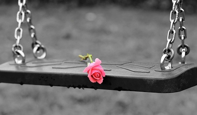 single rose on swing in rain