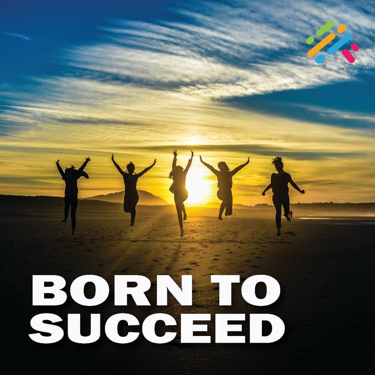Born To Succeed Video Course