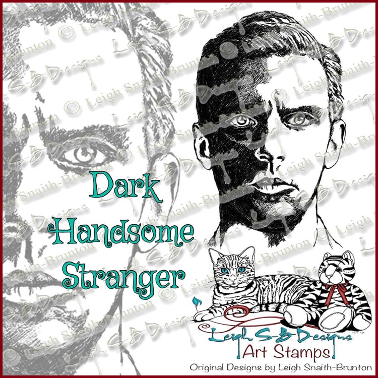 LeighSBDesigns Dark Handome Stranger