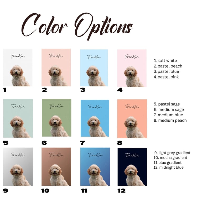 Color options for your pet portrait