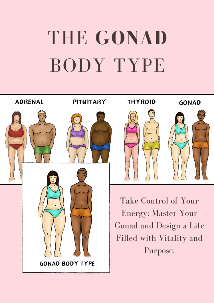 The gonad body type. Adrenal body type. Pituitary body type. Thyroid body type. Gonad body type. Weight gain, weight loss. Ebook. Lifestyle, life change, life tips.