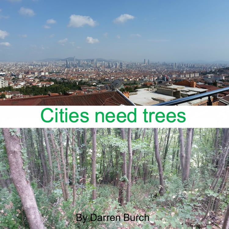 Music cover to "Cities need trees" By Darren Burch Music