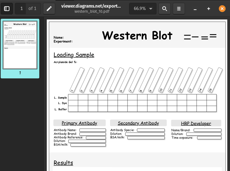 western blot experiment template design file