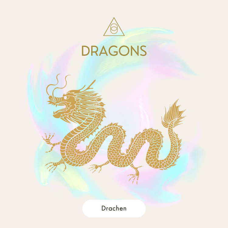 dragons-beratung-drachen-jette-hofmann
