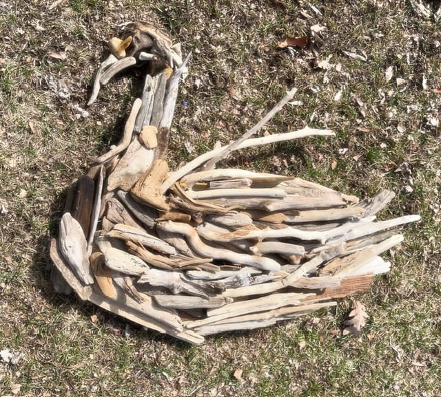 driftwood swan